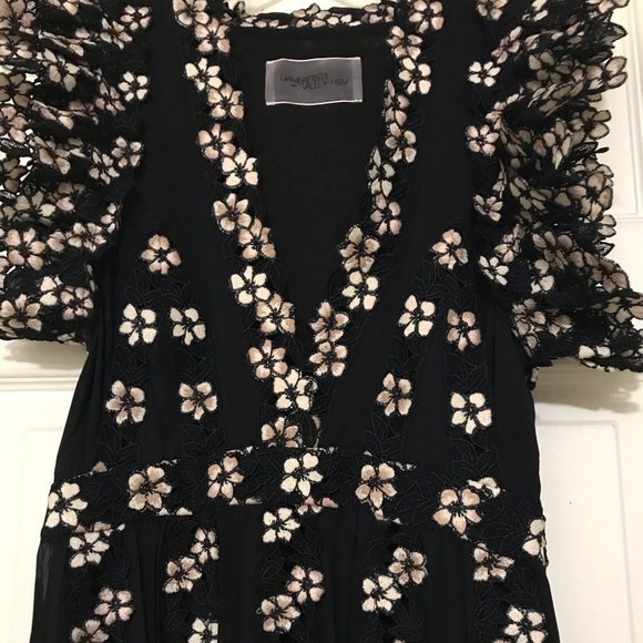 Stunning Giambattista Valli X H&M chiffon Dress - Picture 8 of 16